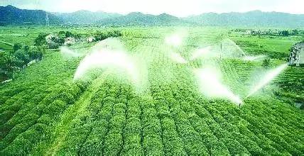 有机农业和无机农业的区别_乒乓球拍无机胶水和有机胶水区别_有机胶水和无机胶水的区别