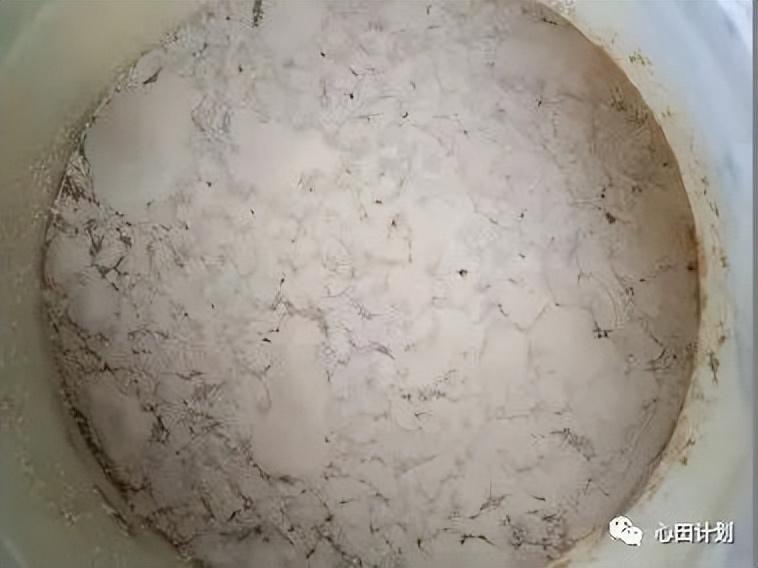 辅食机婴儿辅食机 辅食机有用吗_点佰趣点刷是一清机吗_有机农业的痛点