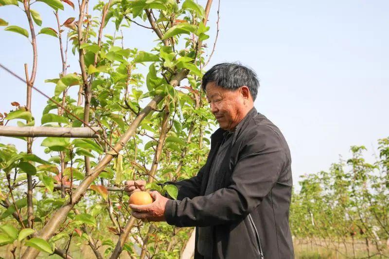 哥哥温柔点痛_杭州安装办理pos机点百趣 点刷_有机农业的痛点