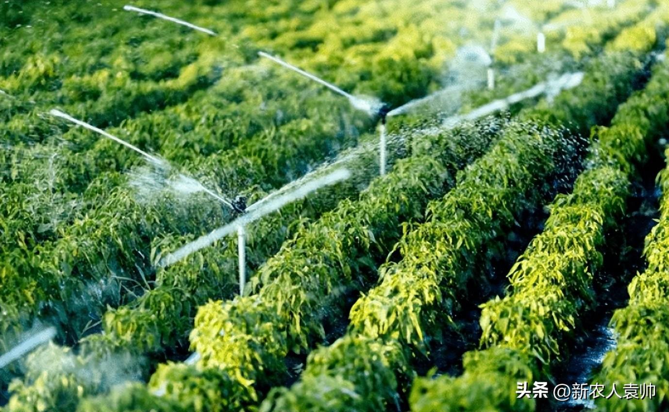 有机农业的面临的问题_文化产业发展面临问题_宪法面临问题