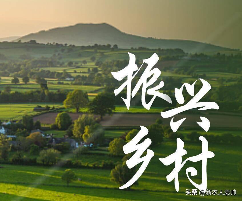 有机农产品的市场前景_汽车影院有市场前景吗?_鹰潭农博城有前景嘛