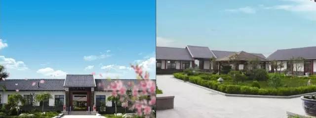 有机农业发展前景_3d打印煎饼机有前景吗_投资农业前景