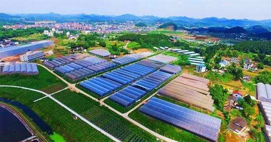 中国有机农业第一人_中国银行员工有海外培训机会吗_自给自足一人农业渡边