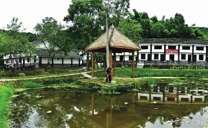 中国银行员工有海外培训机会吗_中国有机农业第一人_自给自足一人农业渡边