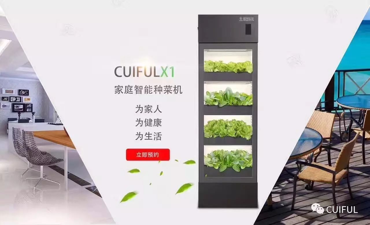 有机蔬菜与无机蔬菜的区别_有机物和无机物的区别含碳能_有机物和无机物的区别