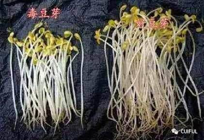 有机物和无机物的区别_有机物和无机物的区别含碳能_有机蔬菜与无机蔬菜的区别
