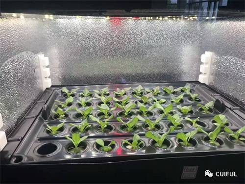 有机物和无机物的区别_有机蔬菜与无机蔬菜的区别_有机物和无机物的区别含碳能