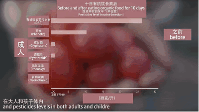 无机硒与有机硒的区别_乒乓球拍无机胶水和有机胶水区别_有机蔬菜与无机蔬菜的区别