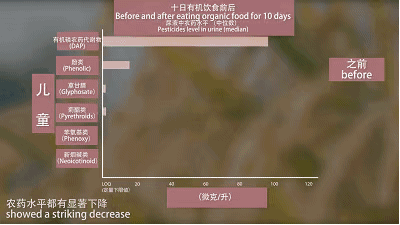 乒乓球拍无机胶水和有机胶水区别_无机硒与有机硒的区别_有机蔬菜与无机蔬菜的区别