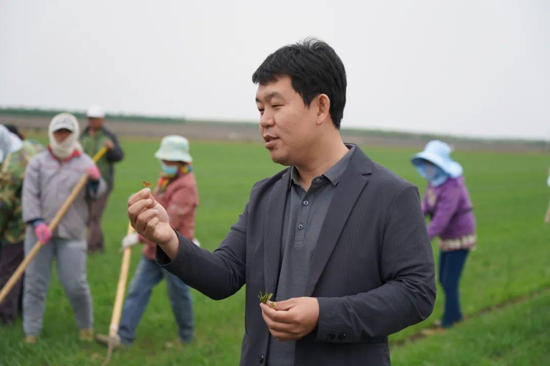 有机农业的痛点_点刷pos机是一清机吗_点佰趣点刷是一清机吗