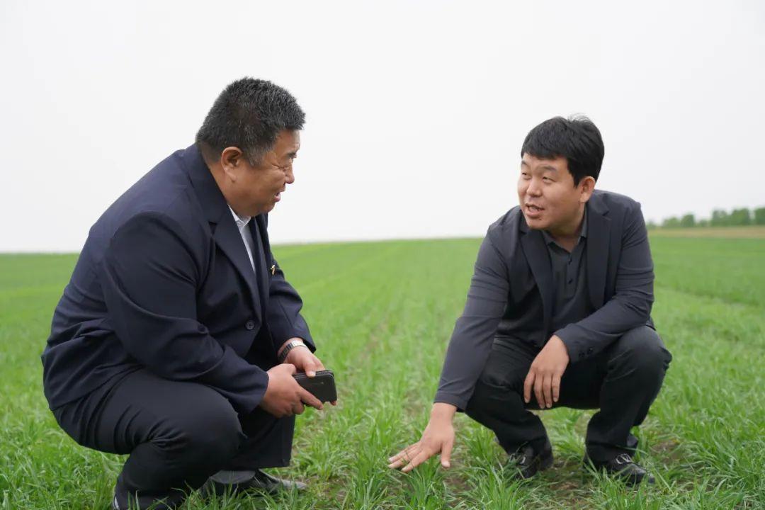 有机农业的痛点_点佰趣点刷是一清机吗_点刷pos机是一清机吗