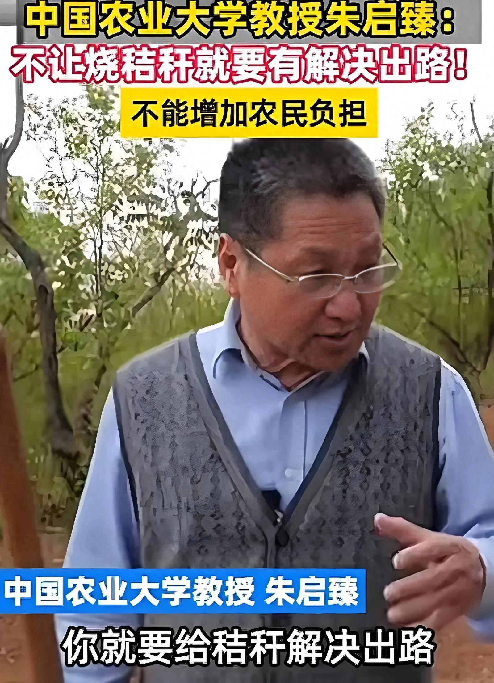 有机农业发展的弊端_规模化种植对小农户影响_小农户规模化种植风险与挑战