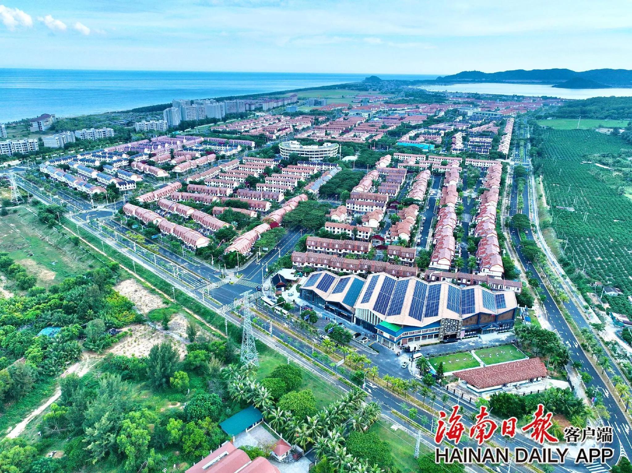 中国有机农业发展现状和前景_热带特色高效农业优势_海南农业产业强镇发展