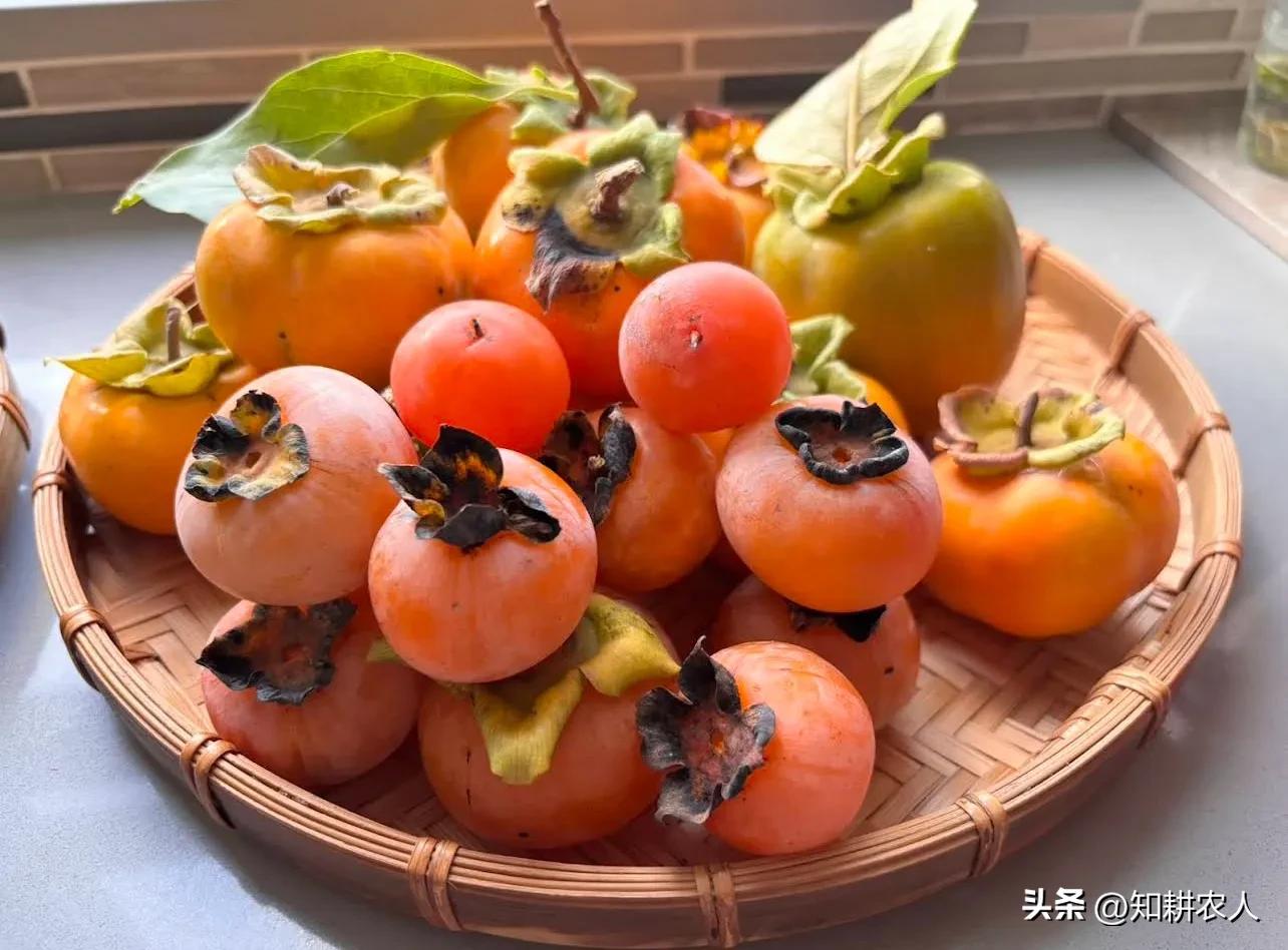 有机农业发展模式_有机农业生产的现状与发展_美国有机农业市场规模