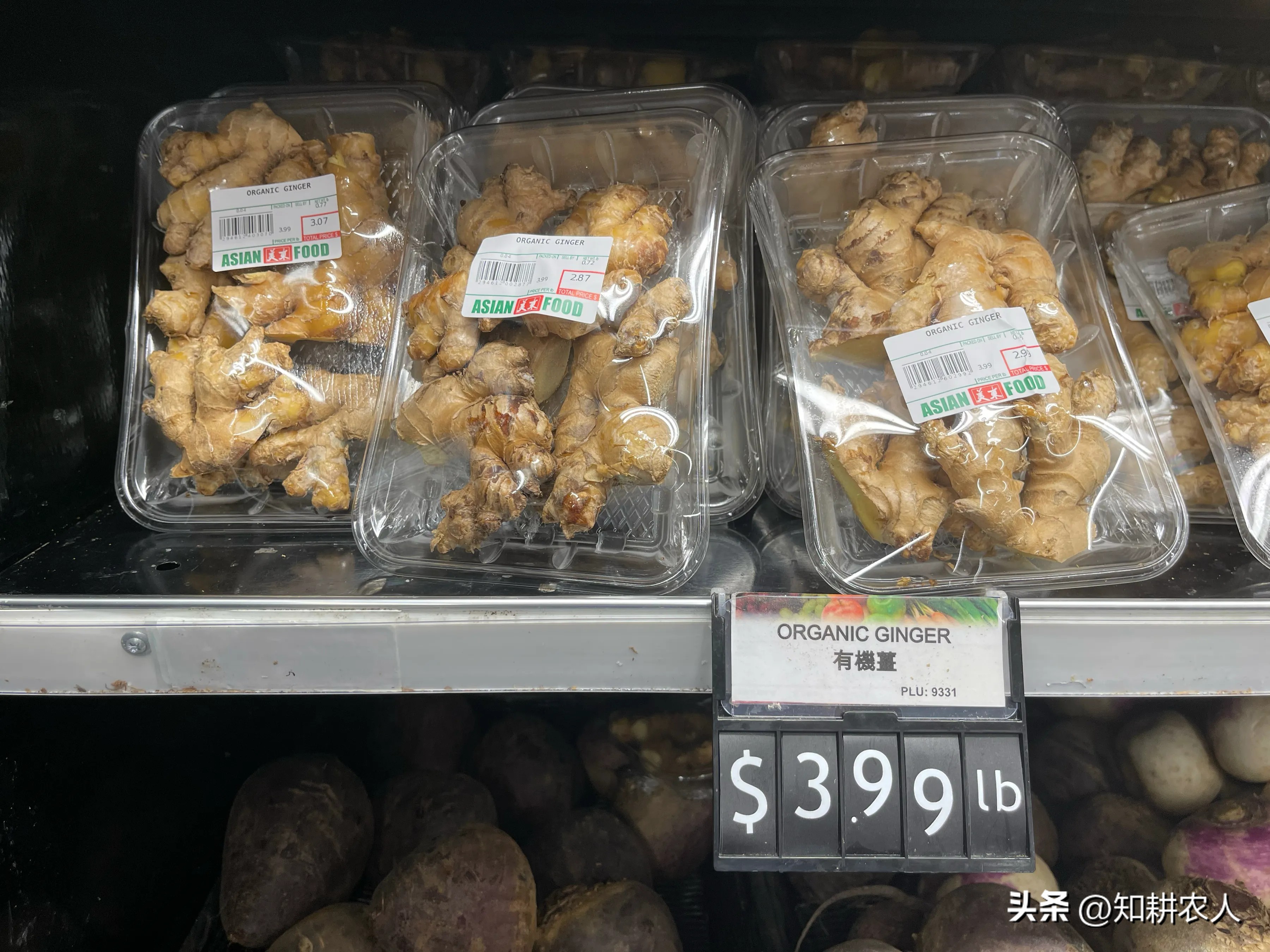 美国有机农业市场规模_有机农业生产的现状与发展_有机农业发展模式