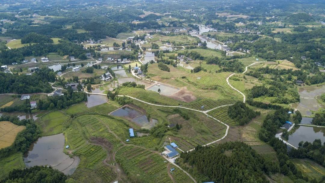 四川南充西充新农人超3万！扎根田间，他们的故事为何都与‘有机’有关？