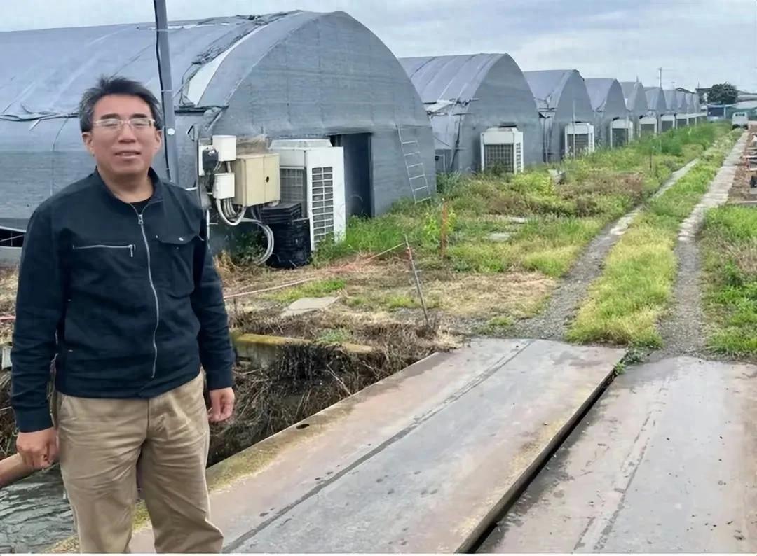 日本超市物价让主妇吃不消，这群中国年轻人却成土地新主人？
