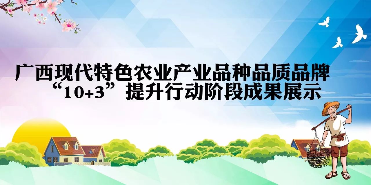 什么是有机农业_广西现代特色农业产业品种品质品牌“10+3”提升行动方案_有机循环农业产业建设