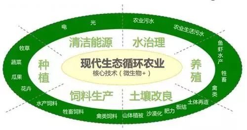 什么是有机农业_广西现代特色农业产业品种品质品牌“10+3”提升行动方案_有机循环农业产业建设